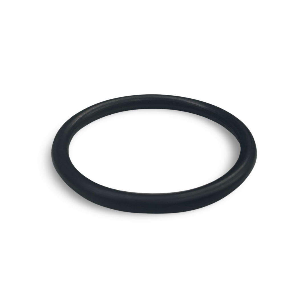 PH valve O-ring