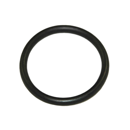 PH valve O-ring